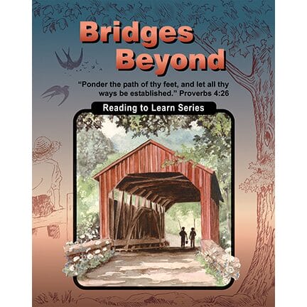 Bridges Beyond