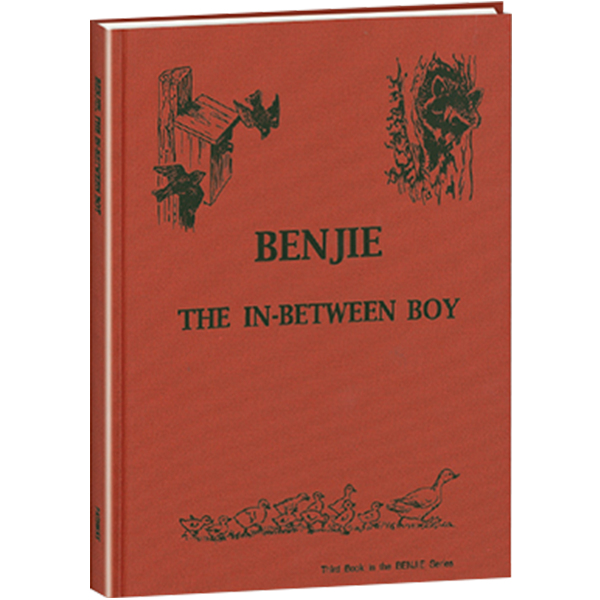 benjie the in between boy