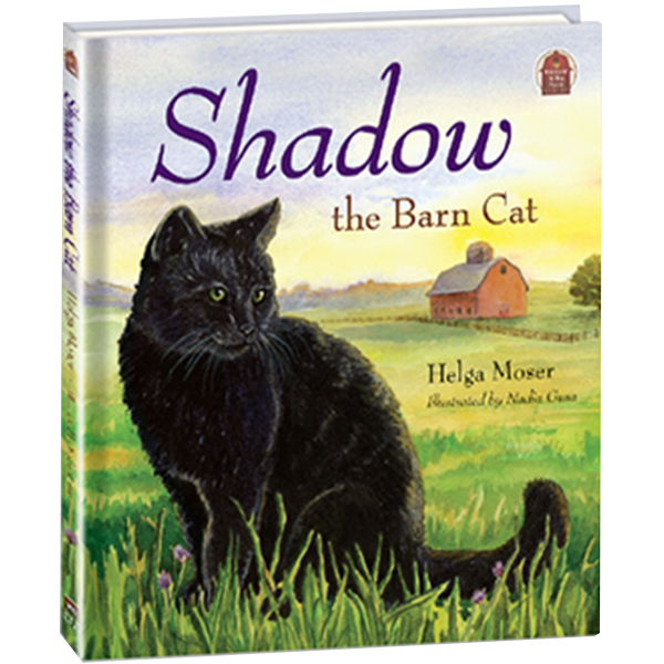 shadow the barn cat