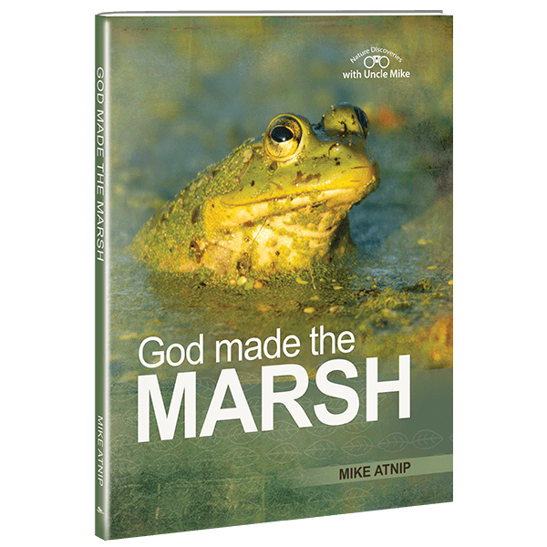 god made the marsh 1 1