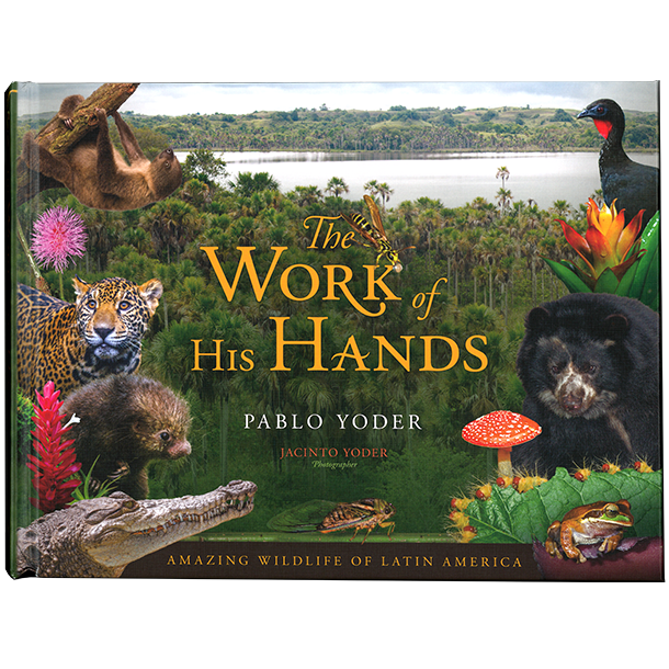 the work of his hands