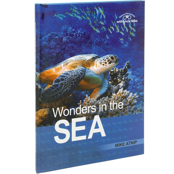wonders in the sea 3