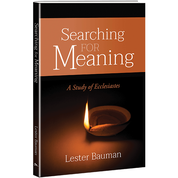 searching for meaning 1 1