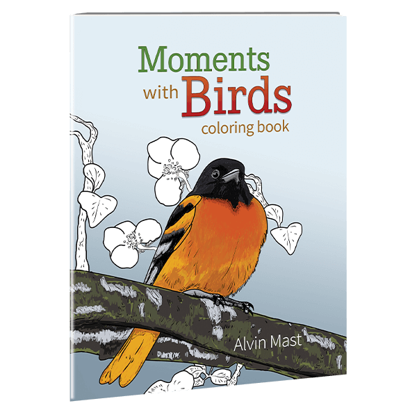 moments with birds coloring book 1