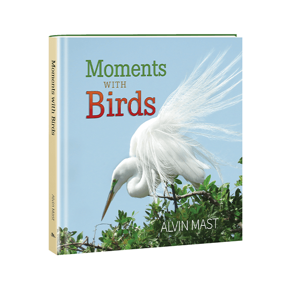 moments with birds 1