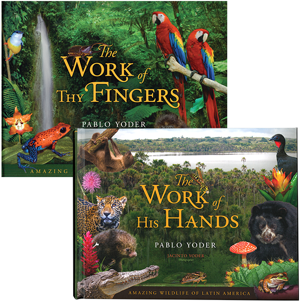 The Woks of His Finger and Hand Value Pack